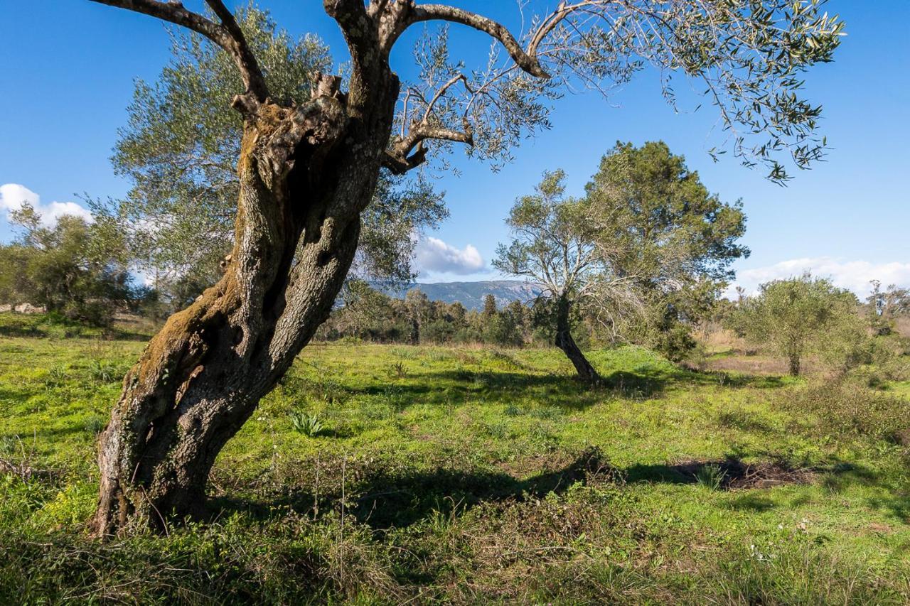 Merlyn Rooms Into The Nature, 100M From The Beach Дафнила Экстерьер фото