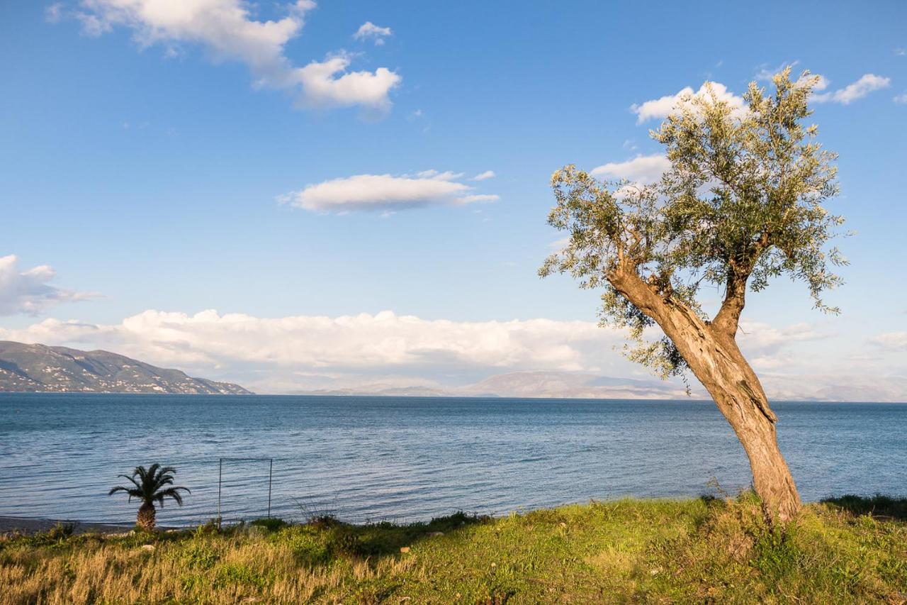 Merlyn Rooms Into The Nature, 100M From The Beach Дафнила Экстерьер фото